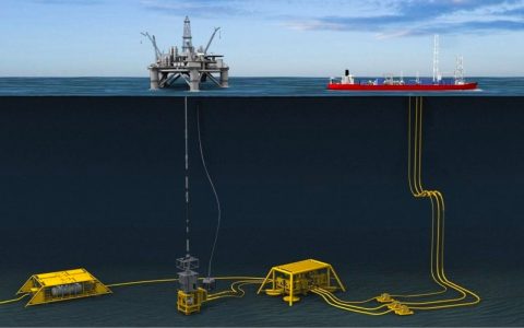 Our Services | Dynamic Ocean Sdn Bhd